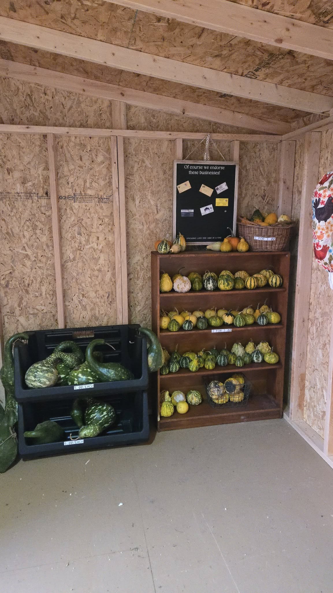 Gourds from Tiny Hiney Acres