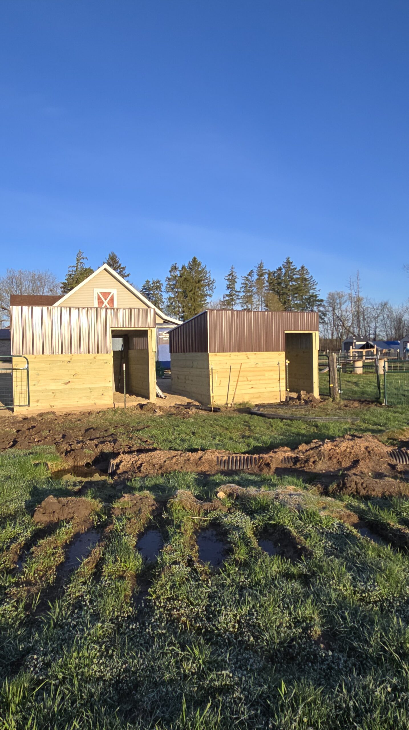New animal shelter finished view