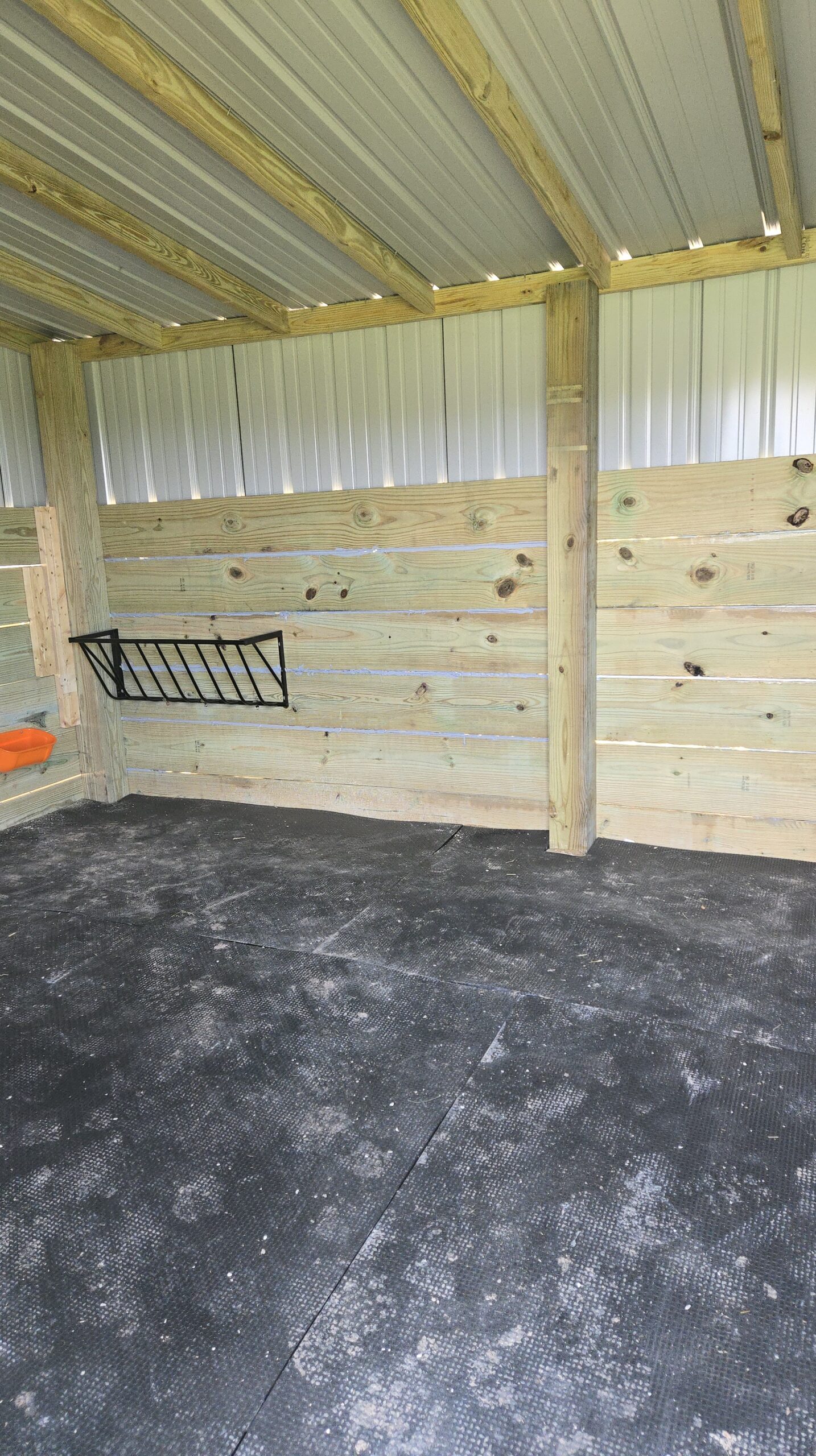 Animal shelter after construction